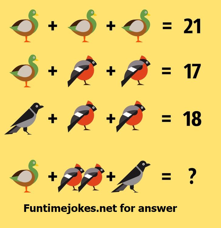 bird math puzzle solution